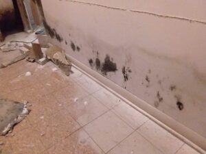 Basement waterproofing installation in Middlesex County NJ to prevent flooding and mold