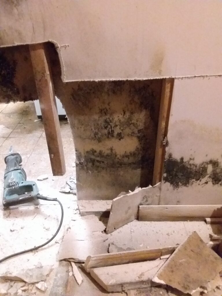 Wall removal during a basement waterproofing in Parsippany NJ. Mold removal also performed.