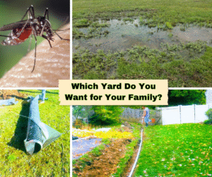 Yard drains and basement waterproofing before and after in Patterson NJ