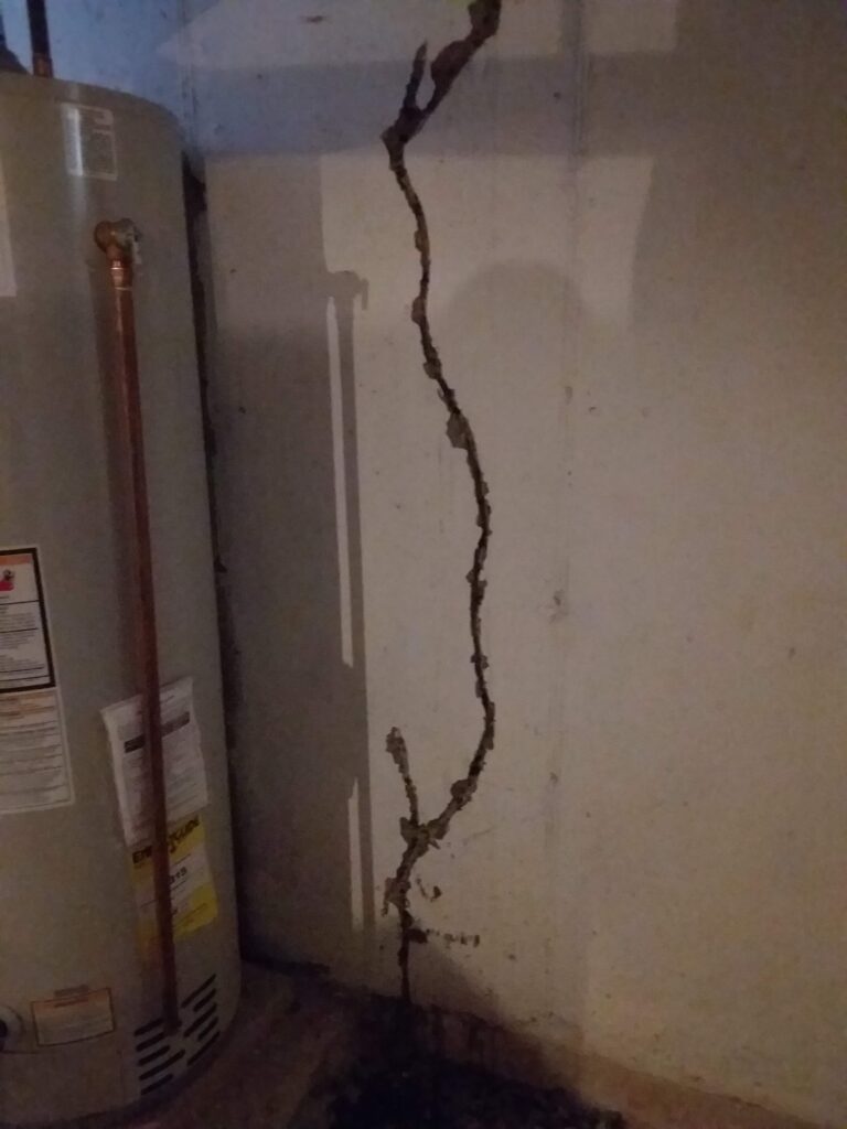 Basement Waterproofing in Tamaqua PA