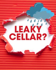 What are the most common reasons basements leak?