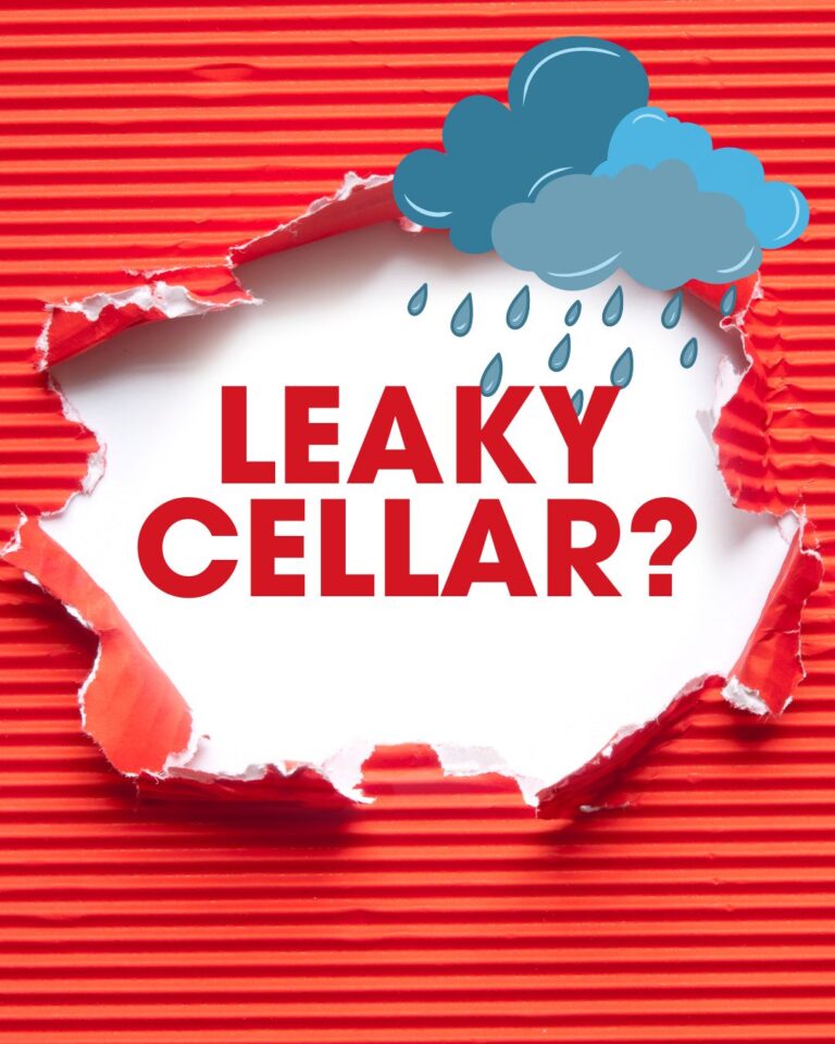 What are the most common reasons basements leak?