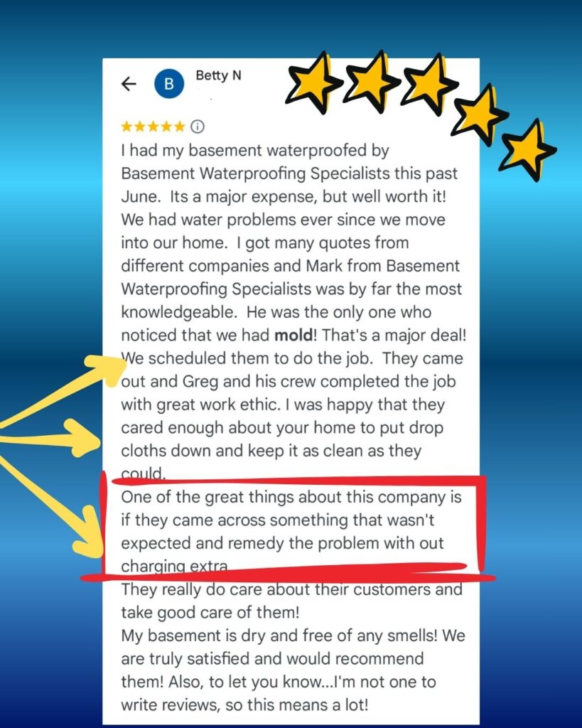 Basement mold removal in New Castle Delaware, a customer review.