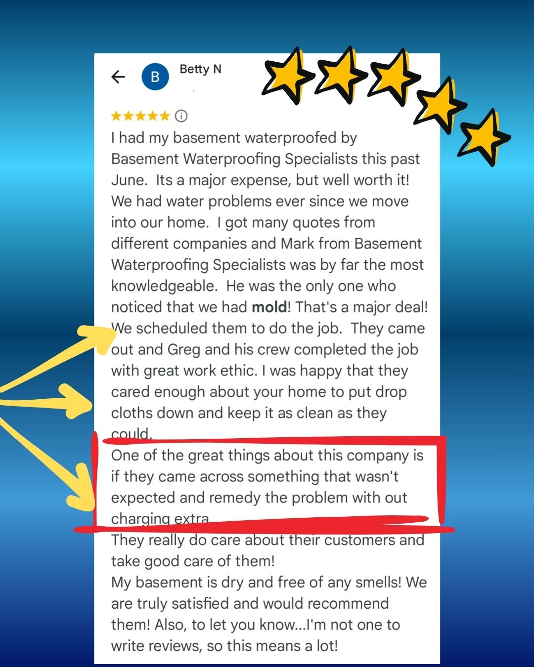 Basement mold removal in New Castle Delaware, a customer review.