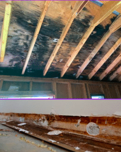 Attic and basement mold removal Bear DE.