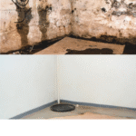Basement Mold Remediation in Wilmington, Delaware – Get Mold Out of Your Home For Good