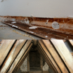 🏠 Basement Mold Remediation in York County, PA