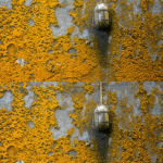 🧱 Basement Mold Remediation in York, PA