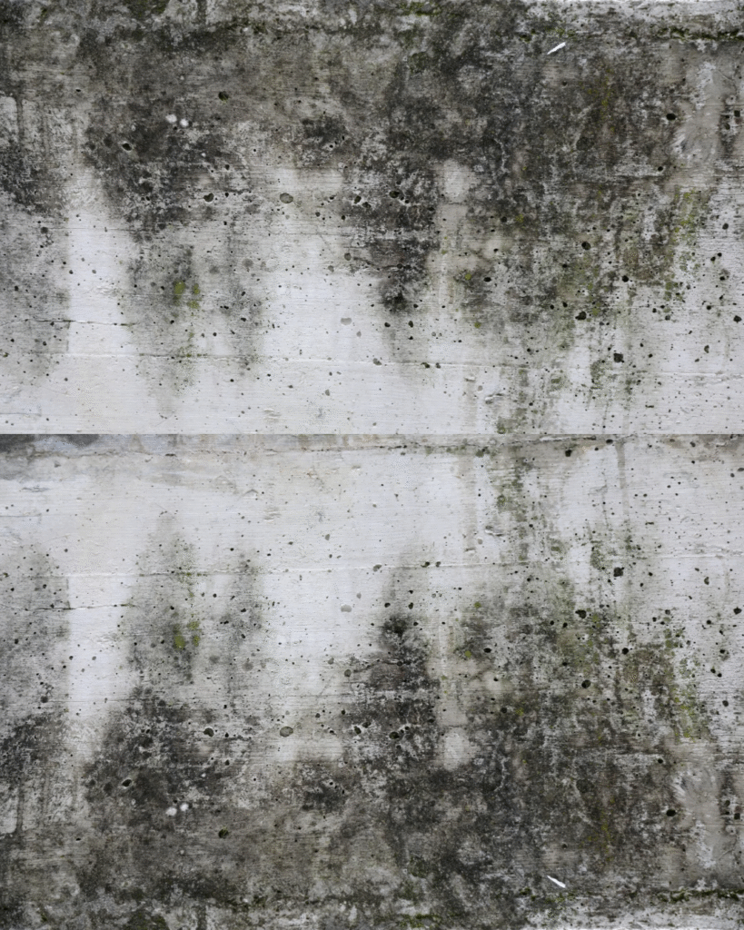 Mold removal from this basement in red lion Pennsylvania.