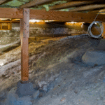 Basement Mold Remediation in Broomall PA (Marple Township)