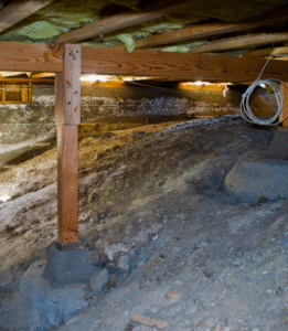 Basement mold removal broomall pa crawl space