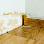 Mold Remediation in Delaware County PA
