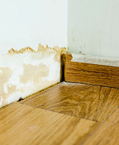 Basement wall mold remediation in Delco pa.