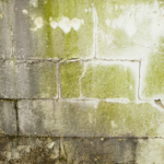 Basement Waterproofing in Phoenixville PA