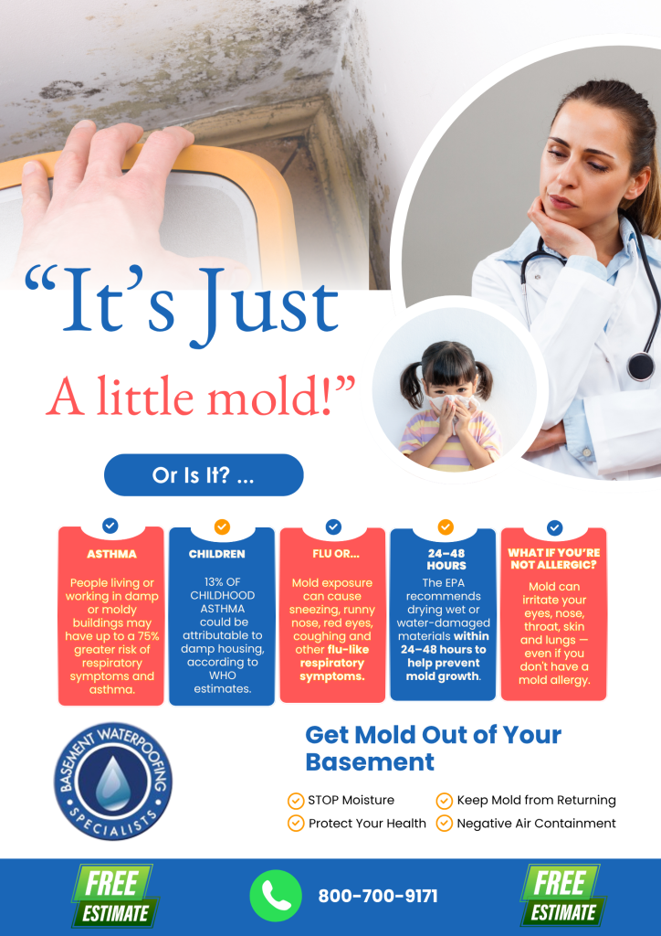 is basement mold safe infographic